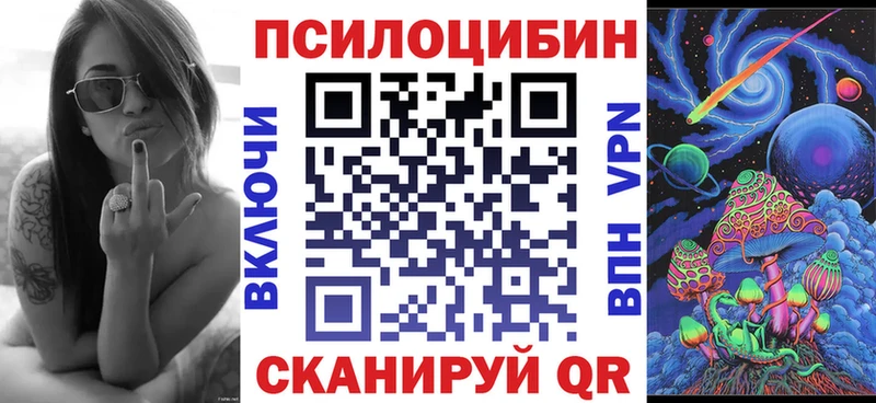 Псилоцибиновые грибы Psilocybe  что такое   Чёрмоз 
